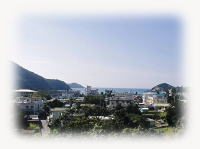 �p�[�e�B�[�C���[�W