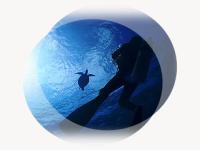 �����C���[�W