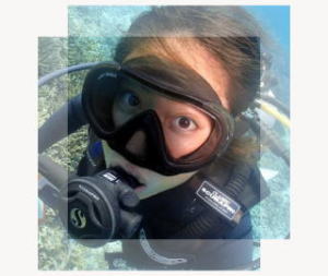 �X�^�b�t���؂���