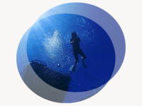 �����C���[�W