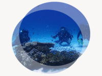 �����C���[�W