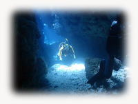 �����C���[�W